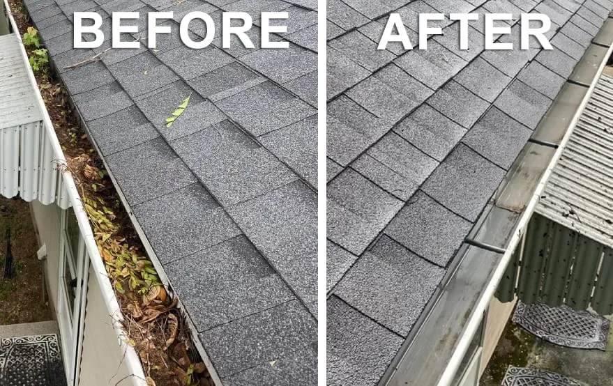 Before and after: roof-line debris removed and the gutter line left clean